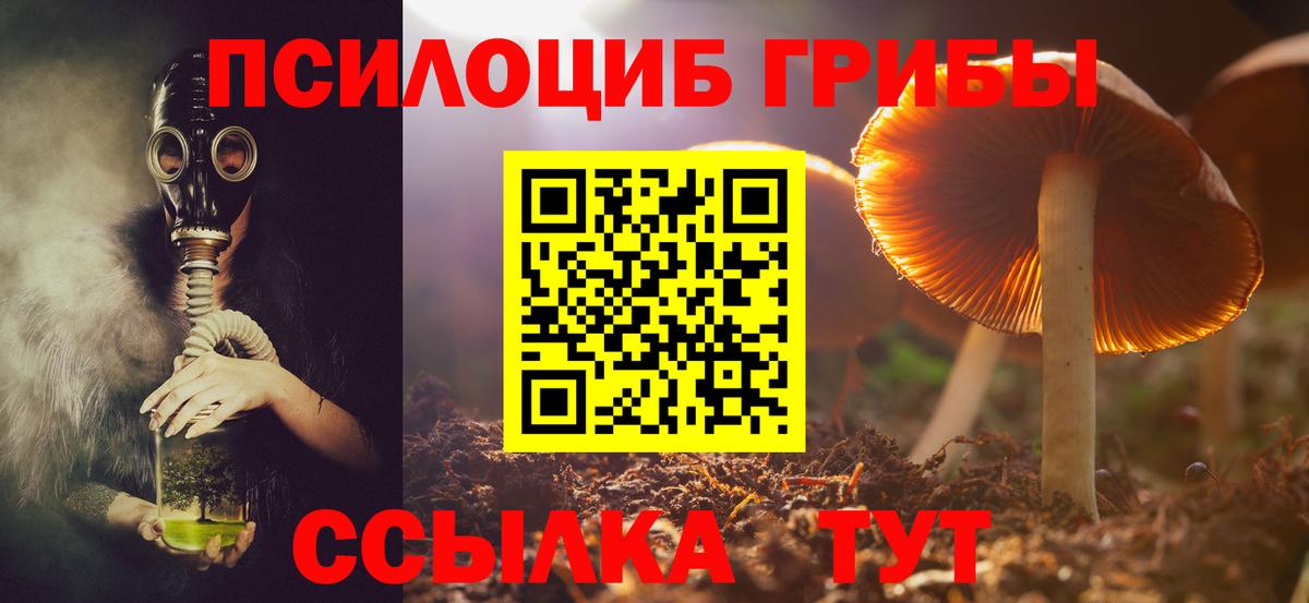 Пушкино  Галлюциногенные грибы Cubensis  Вход с VPN 
